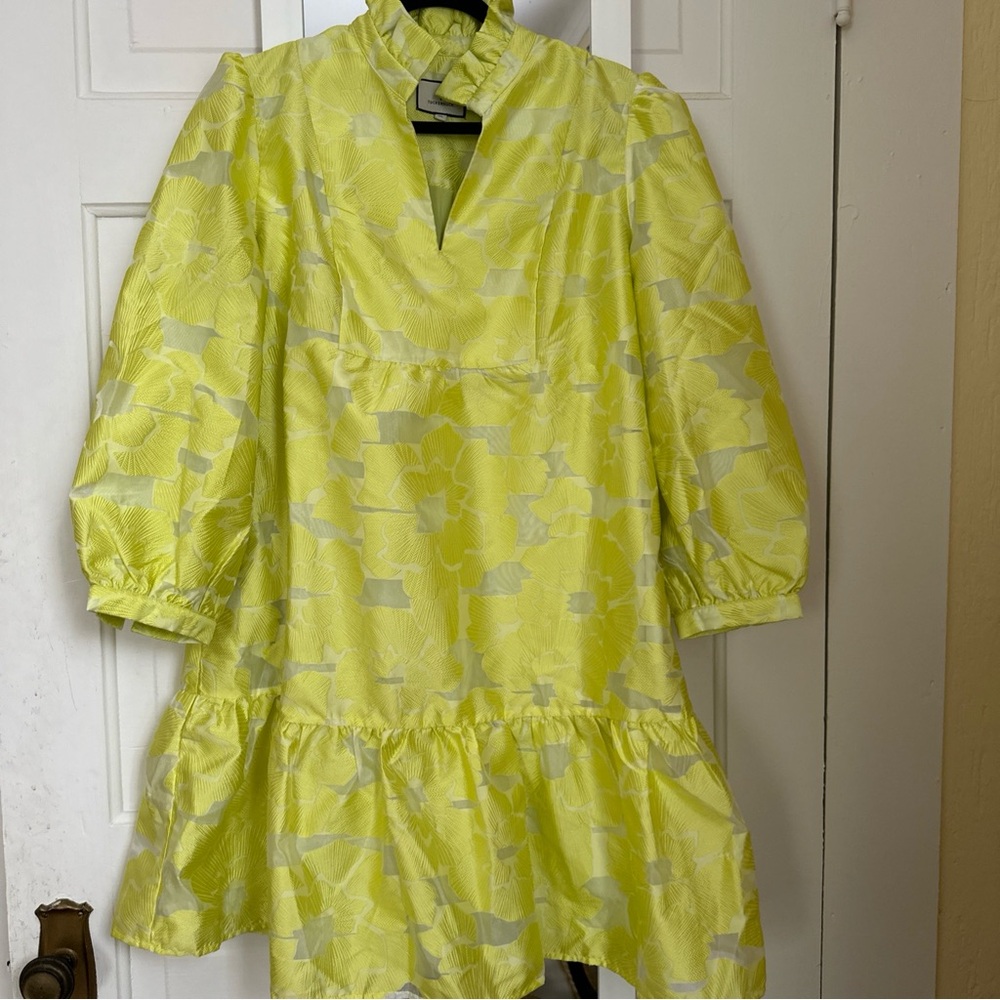 Tuckernuck |Citron Fil Coupe Palmerston Drop Waist Mini Dress Size XL
